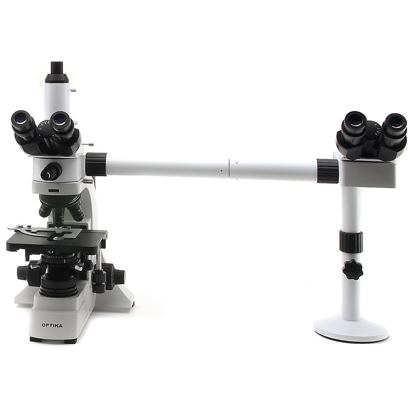Optika Microscópio B-500Ti-2, Cabeça de discussão, 2 cabeças, LED