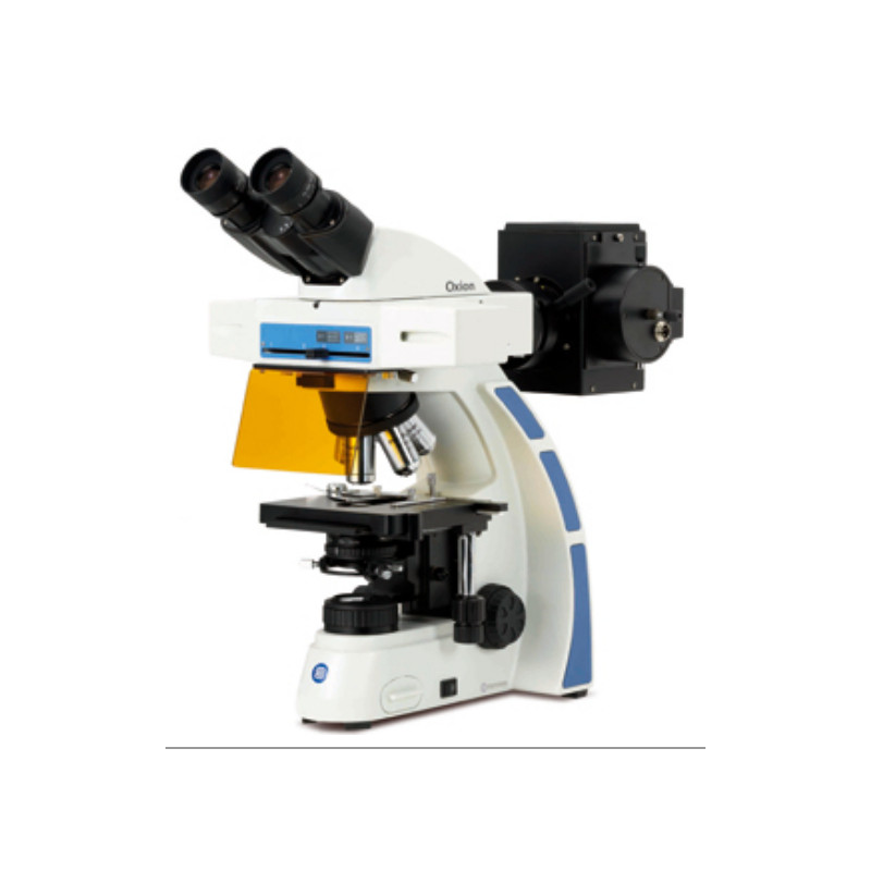 Euromex Microscópio OX.3080 binocular microscope, Fluarex, oil