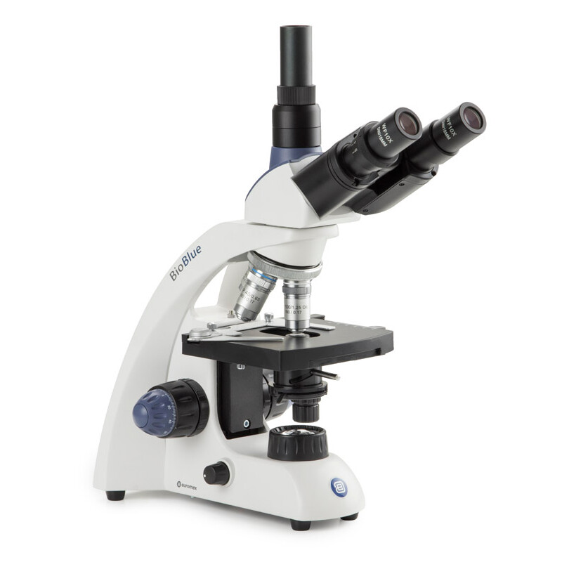 Euromex Microscópio BioBlue, BB.4253, trino, DIN, semiplan, 40x-1000x, 10x/18, NeoLED, 1W