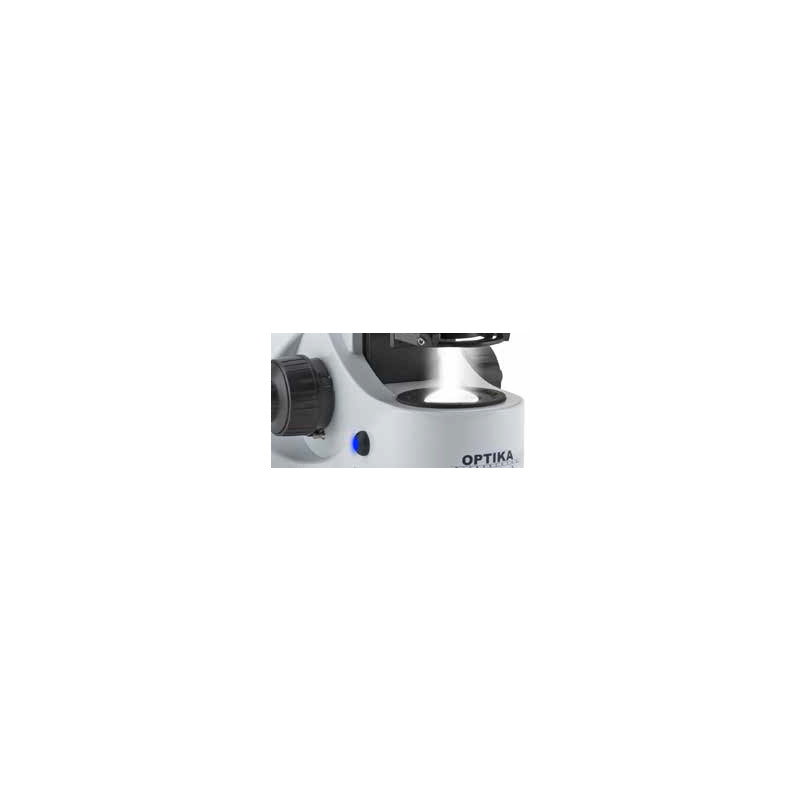 Optika Microscópio B-382PH-ALC, bino, fase, ALC, B+W, DIN, 40x-1000x