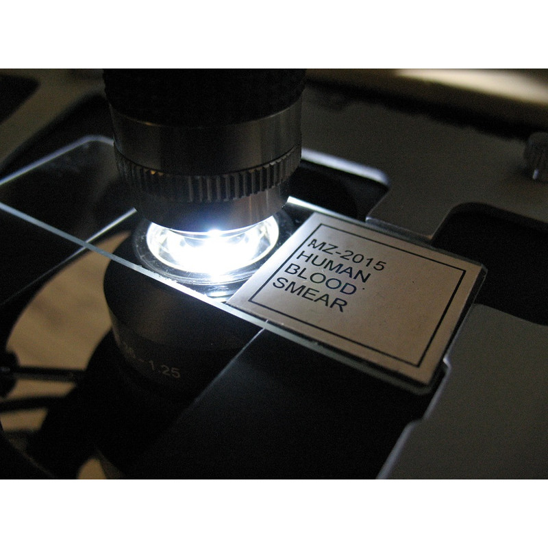 Optika Microscópio B-383DK, trino, HF, DF, DIN, N-PLAN, 40x-1000x, LED