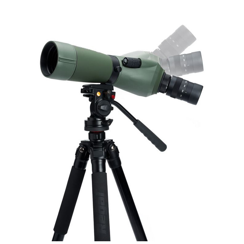 Celestron Luneta REGAL M2 16-48x65 ED