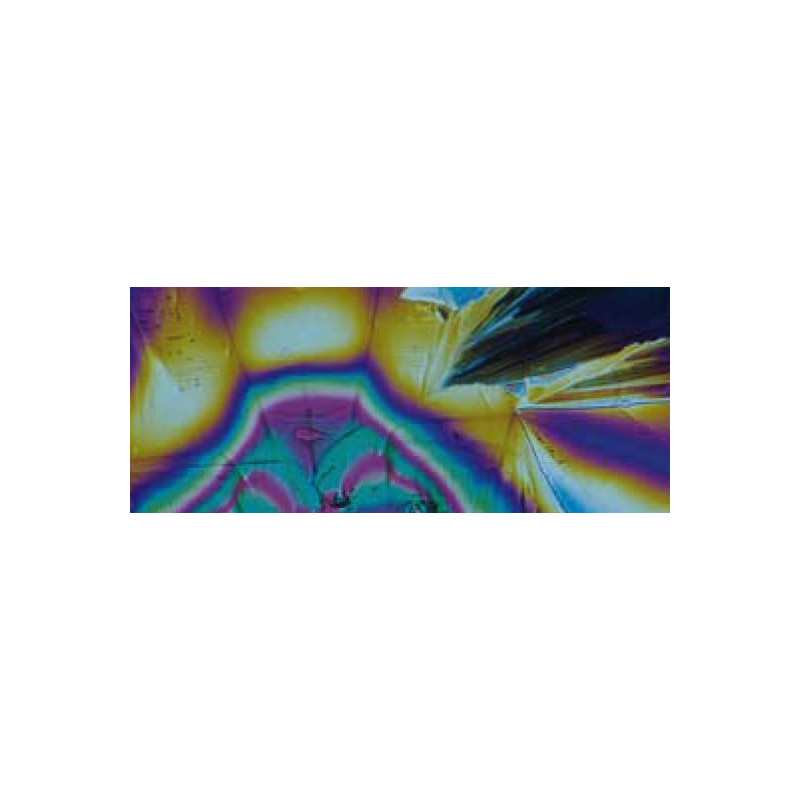 Motic Microscópio BA310, Digital