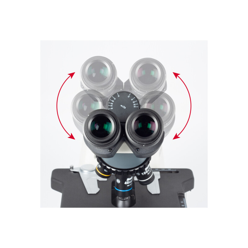 Motic Microscópio BA310E, binocular, BF, infinito, EC-plan, achromático, 40x – 1000x, lâmpada de 30 W, LED (OPT)