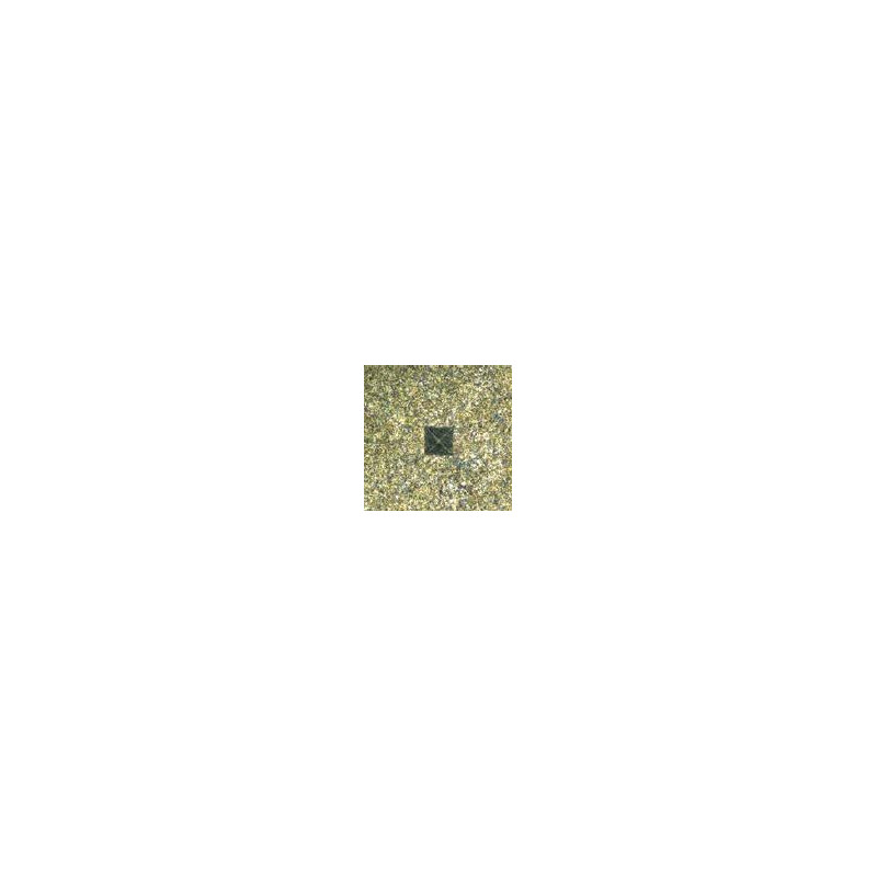 Motic Microscópio invertido AE2000 MET, trino, 50x-500x, LM, Darkfield, 100W
