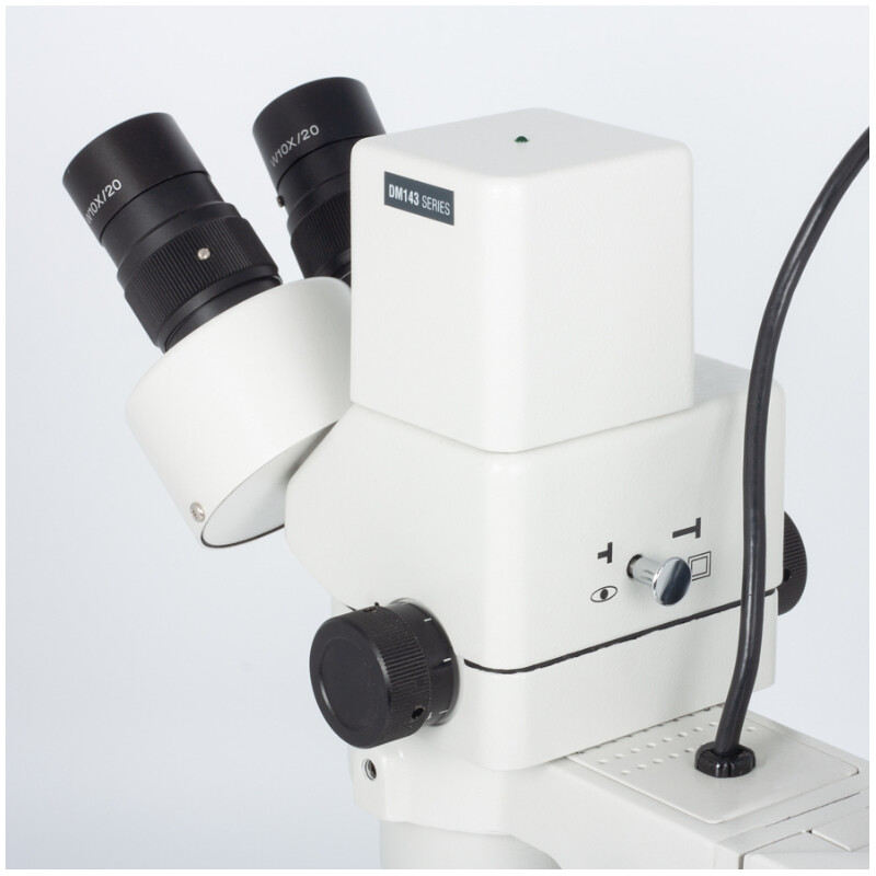 Motic Microscópio estéreo zoom DM-143-FBGG, Stereo