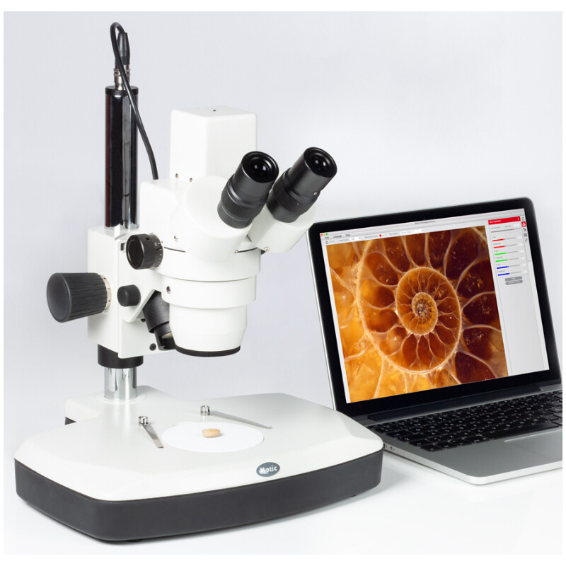 Motic Microscópio estéreo zoom DM-143-FBGG, Stereo