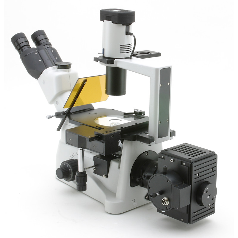 Optika XDS-3FL4, Triocular, invertido, fluorescência com 4 Suportes de filtro