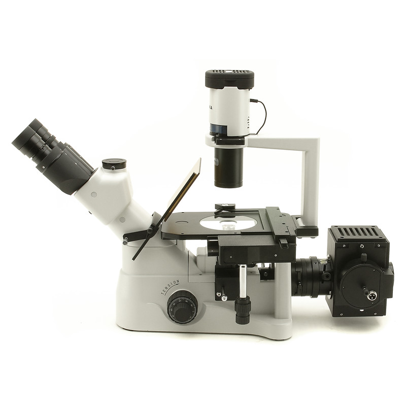 Optika XDS-3FL4, Triocular, invertido, fluorescência com 4 Suportes de filtro