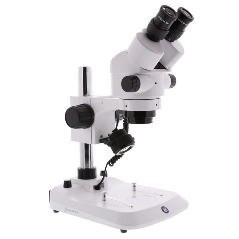 Euromex StereoBlue SB.1902-P, zoom, Coluna base, bino, 0.7x-4.5x