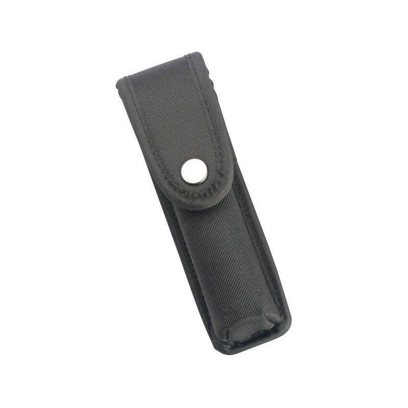 Walther Estojo de cinto para Tactical 250