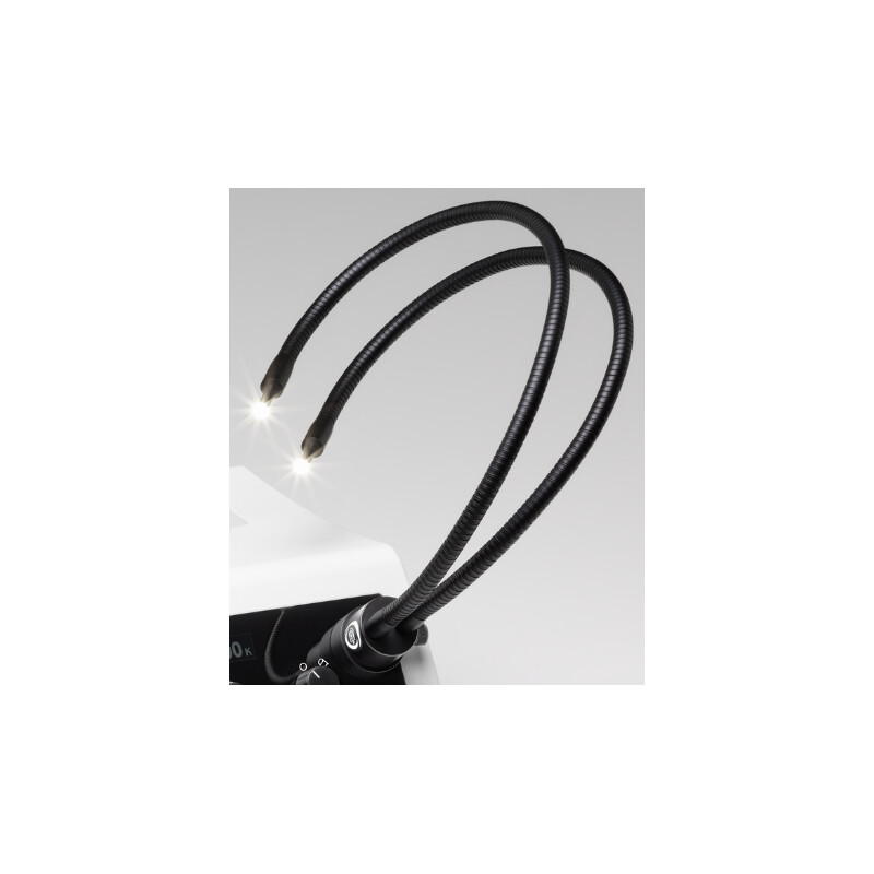 SCHOTT Pescoço de cisne, 2 braços PURAVIS Ø 4,5mm / 600mm