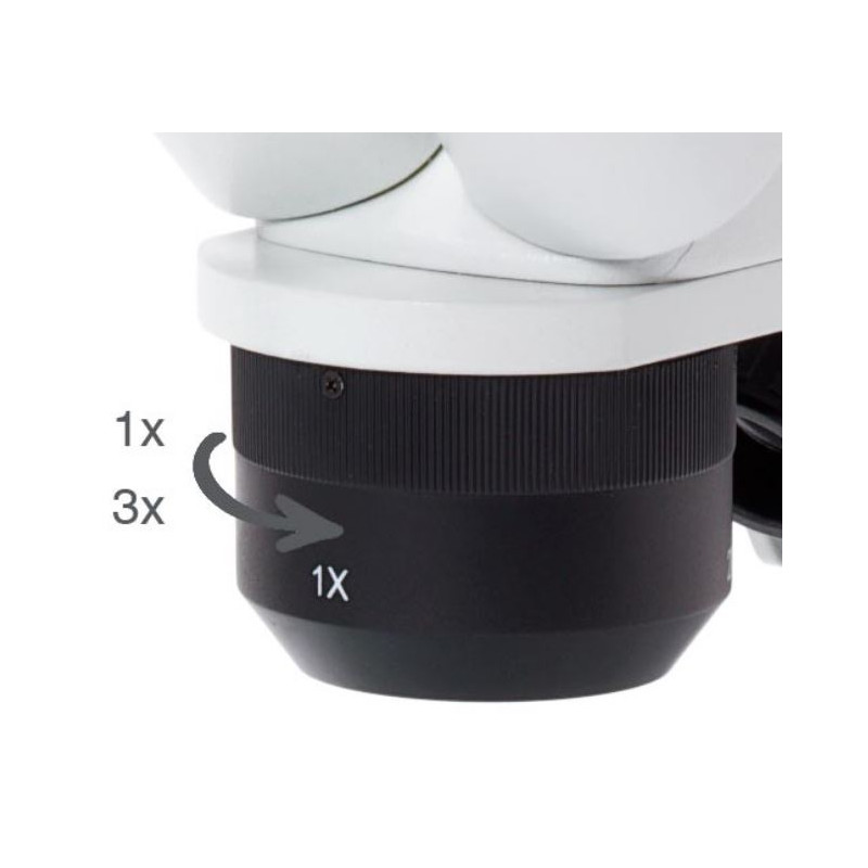 Euromex Microscópio stéreo EduBlue 1/3 ED-1302-P, conjunto de fósseis