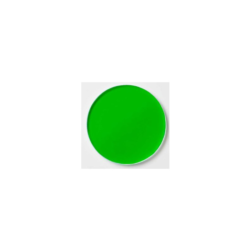 SCHOTT Insert filter, Ø = 28 green