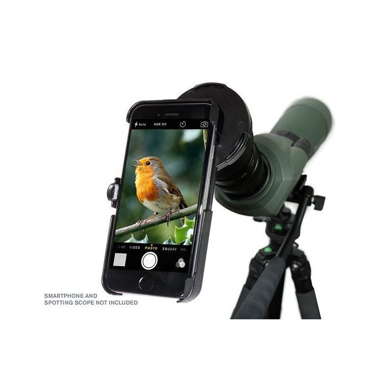 Celestron Adaptadores Regal para iPhone 6+