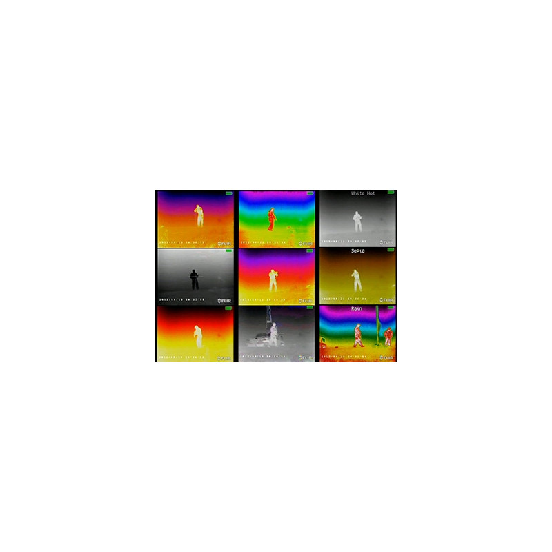 Armasight Câmara térmica Prometheus 336 / 30 Hz 3-12x42