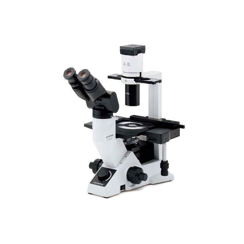Olympus Microscópio CKX41, bino, ergo, Hal, 40x, 100x, 200x, 400x