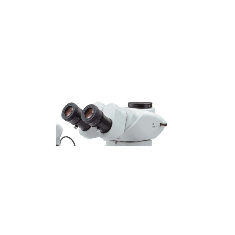 Evident Olympus Microscópio estéreo zoom Luz trasmitida Olympus SZX7, trino, achro, 1x, LED