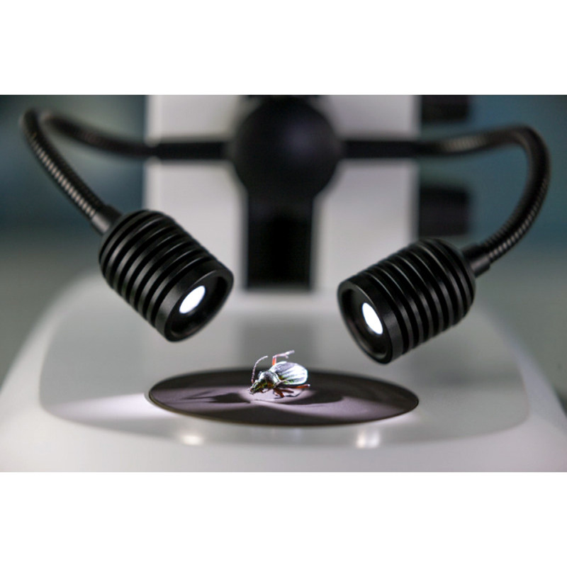 ZEISS Lâmpada de foco K LED