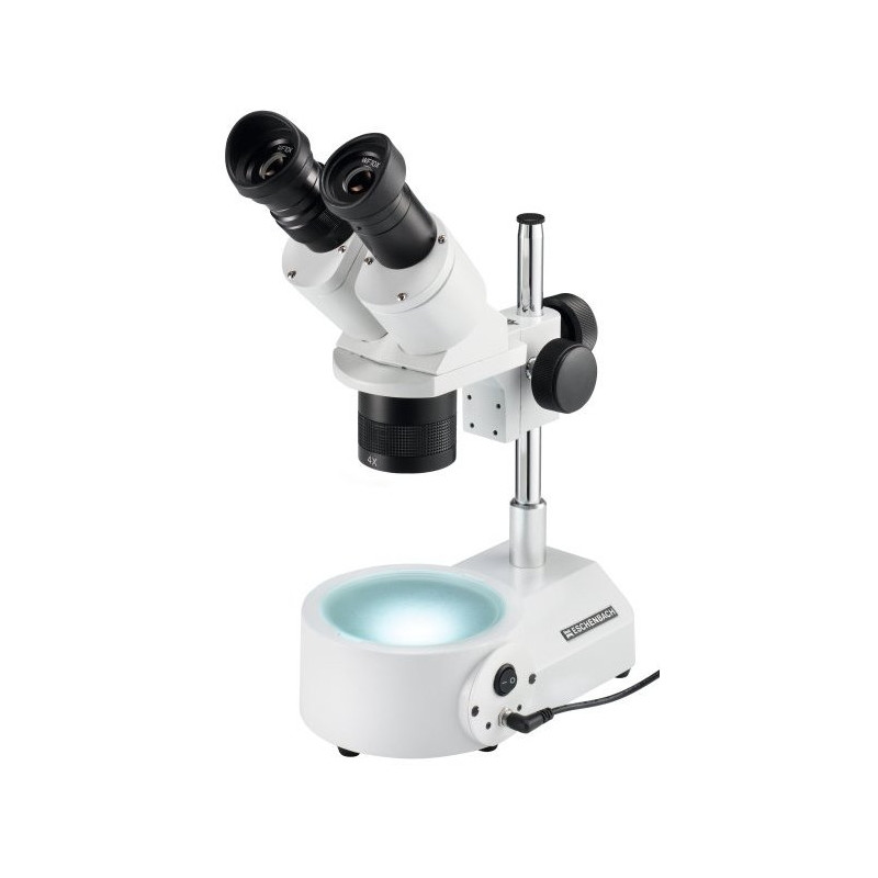 Eschenbach Microscópio stéreo Stereo microscope, LED, incident and transmitted lighting