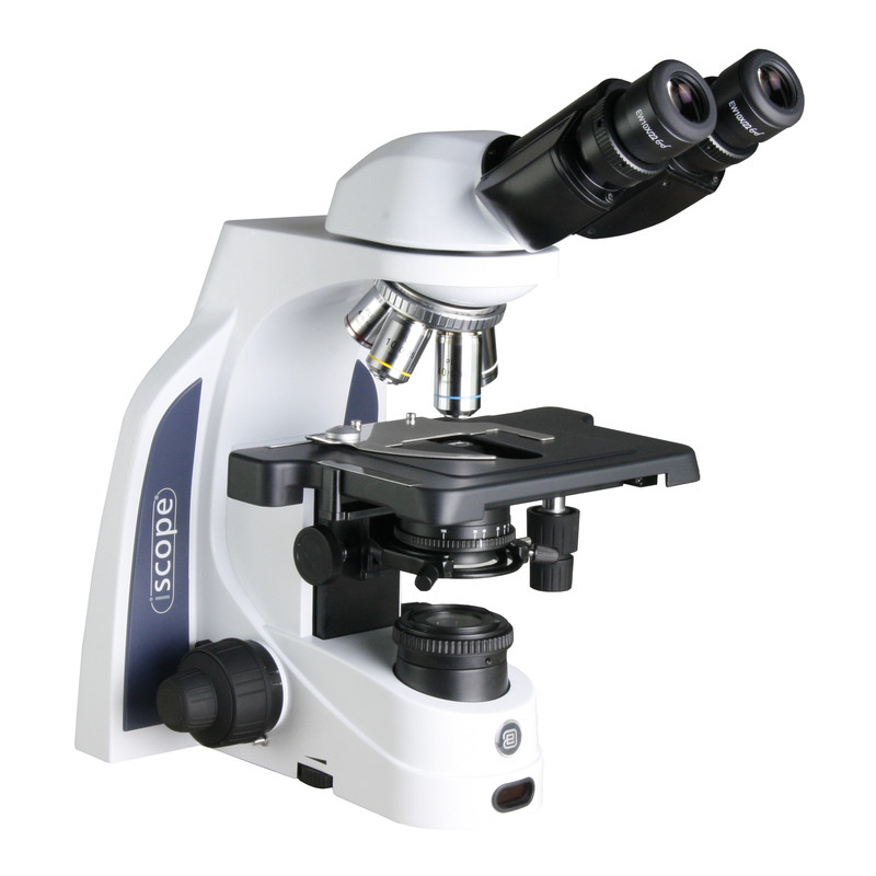 Euromex Microscópio iScope IS.1152-PLPHi, bino, PH, infinity, plan, 40x-1000x, iCare, LED