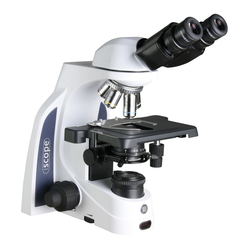 Euromex Microscópio iScope IS.1152-PLPHi, bino