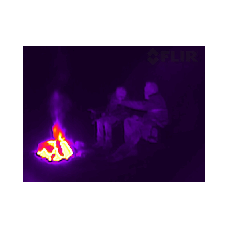 vision termica flir