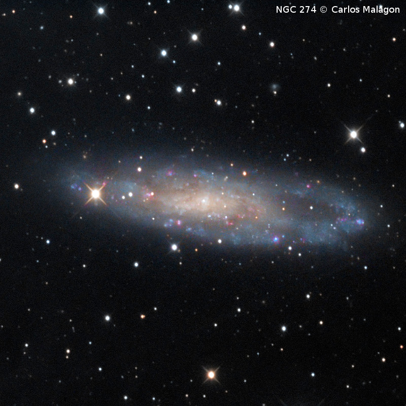Omegon Telescópio RC 154/1370 EQ570DX