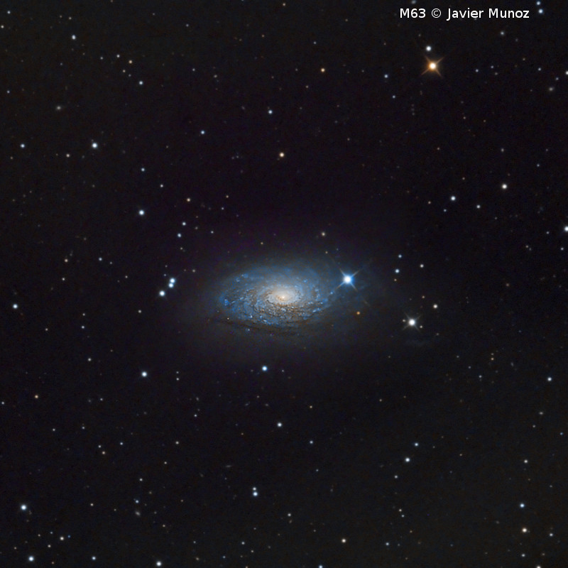 Omegon Telescópio RC 154/1370 EQ570DX