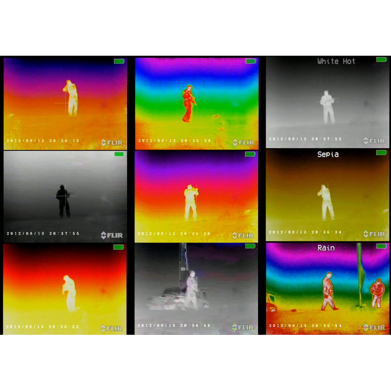 Armasight Câmara térmica Command 336, 3-12x50 (60 Hz)