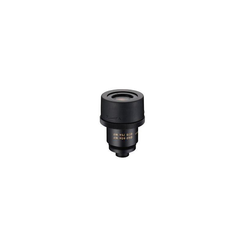 Nikon Ocular grande angular 40x/60x/75x MC