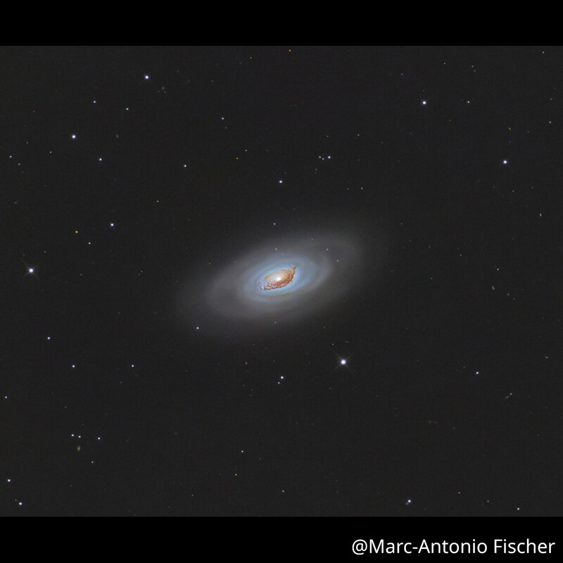 Omegon Telescópio Pro Astrograph 254/1016 OTA