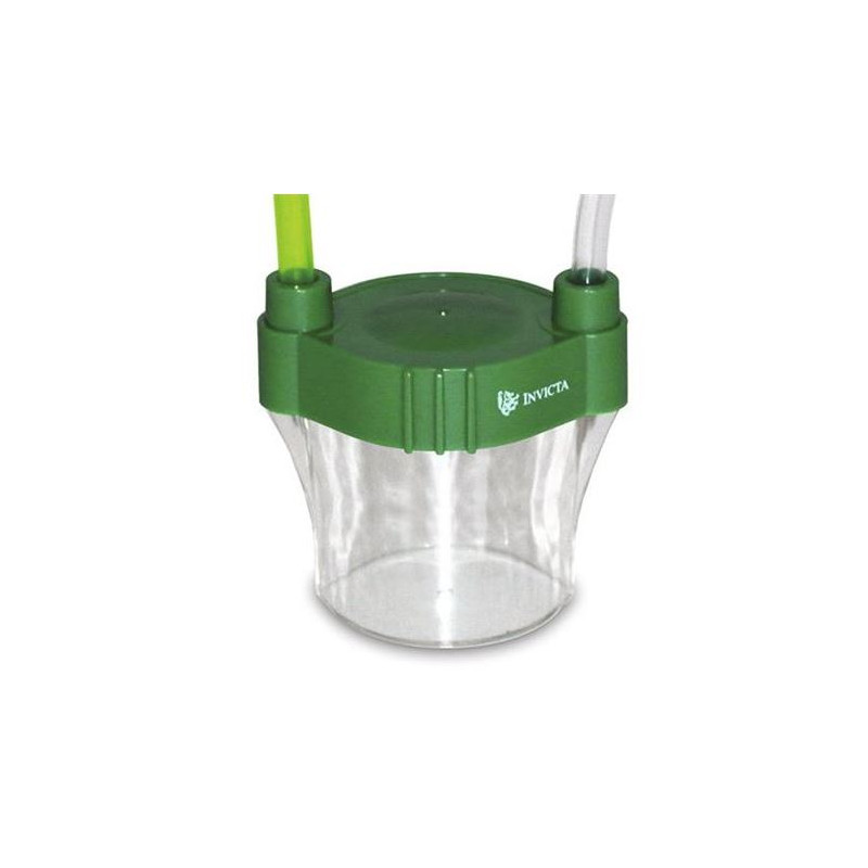 UKGE Taça de observação