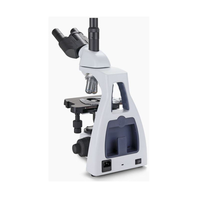 Euromex Microscópio BS.1153-EPL, trino, 40x-1000x