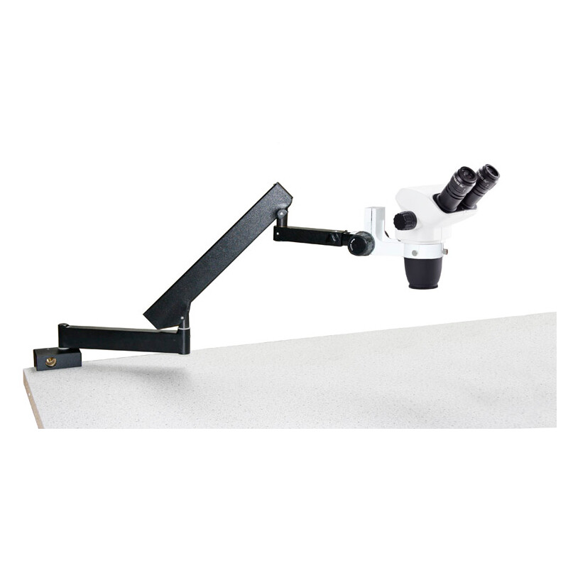 Euromex NZ.1702-A, NexiusZoom EVO, 6,5x a 55x, suporte articulado, sem iluminação, bino