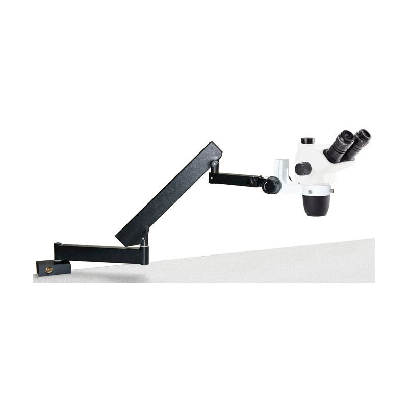 Euromex NZ.1703-AP, NexiusZoom EVO, braço articulado de 6,5x a 55x com pinça de mesa, sem Iluminação, trino
