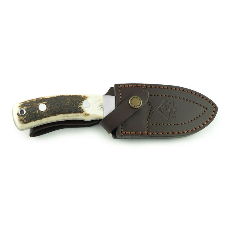 Minox Binóculo Conjunto BL 8x56 HD Javali