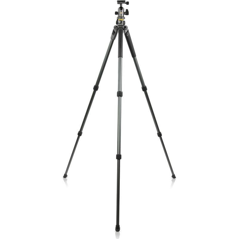 Vanguard Tripé de alumínio Alta Pro 2+ 263AB100