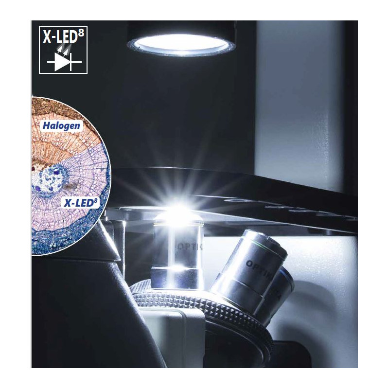 Optika Microscópio IM-3FL4-SWIV, trino, inverso, FL-HBO, filtro B&G, IOS LWD U-PLAN F, 100x-400x, CH, IVD