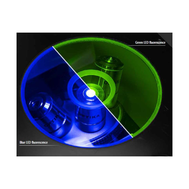 Optika Microscópio IM-3FL4-SWIV, trino, inverso, FL-HBO, filtro B&G, IOS LWD U-PLAN F, 100x-400x, CH, IVD