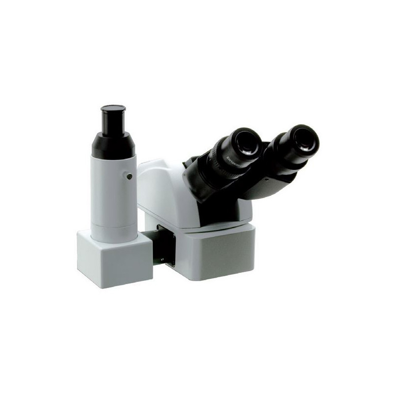 Optika Cabeça Ergo M-1013, trino