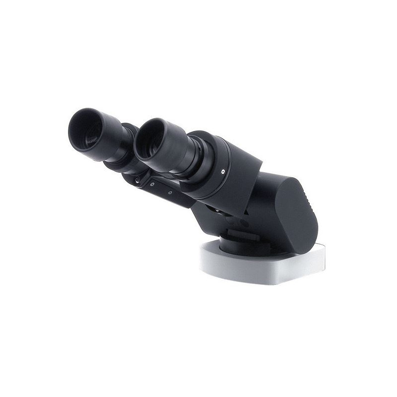 Optika Cabeça Ergo, M-1012, bino