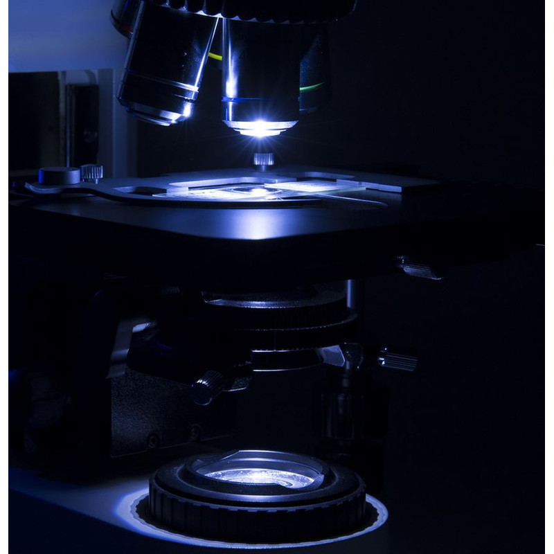 Optika Microscópio B-1000BF, campo luminoso (sem Lentes), trino
