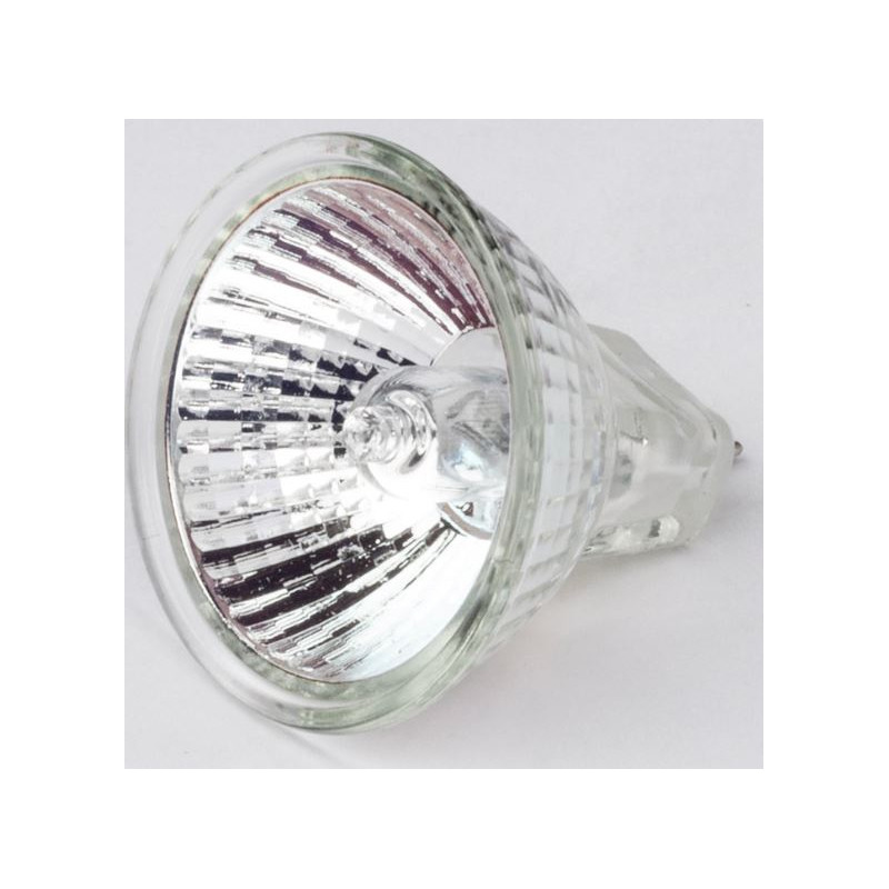 Motic Lâmpada de substituição de halogéneo 12V/10W para suporte R2GG (luz refletida) (SMZ-161)