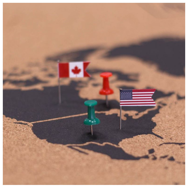 Miss Wood Mapa mundial Woody Map Natural Cork L black