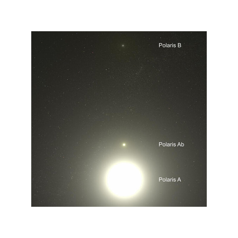 Celestial Buddies Polaris Ab e Polaris B