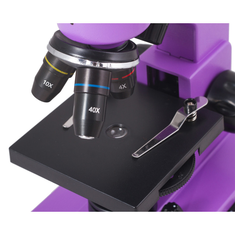 Levenhuk Microscópio Rainbow 2L Amethyst