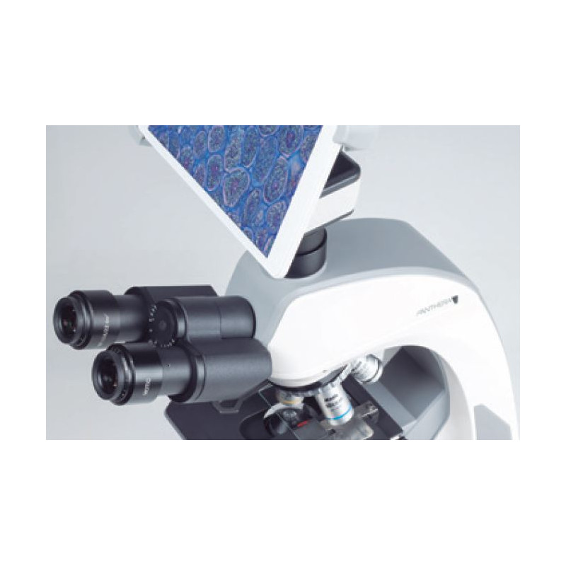 Motic Câmera Câmara BTX8, 5.0MP, 8