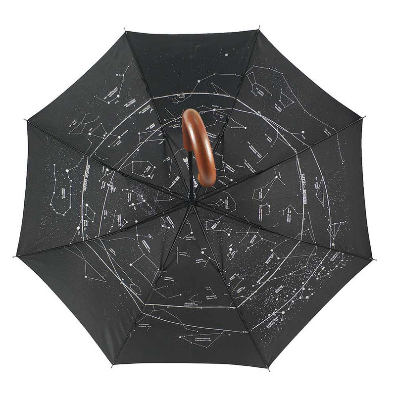 Levenhuk Guarda-chuva Star Sky Z10