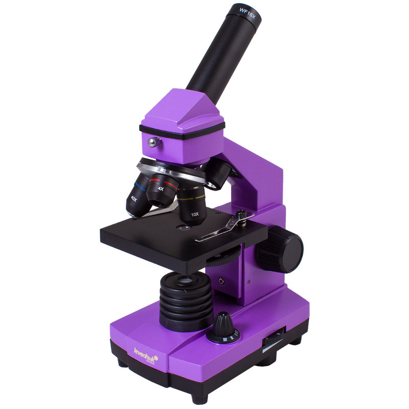 Levenhuk Microscópio Rainbow 2L Plus Amethyst